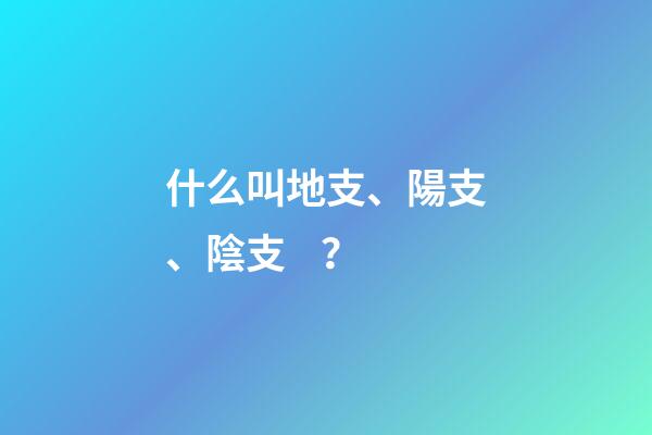 什么叫地支、陽支、陰支？